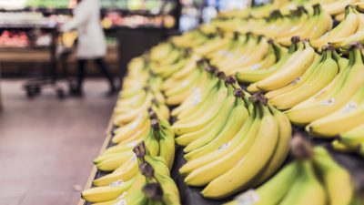 Bananer ligger uppradade snyggt på en hylla i en butik.