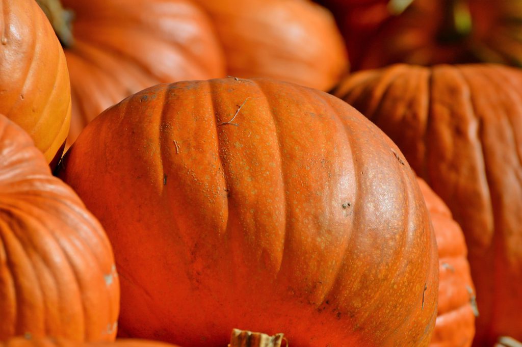 Flera orangea pumpor