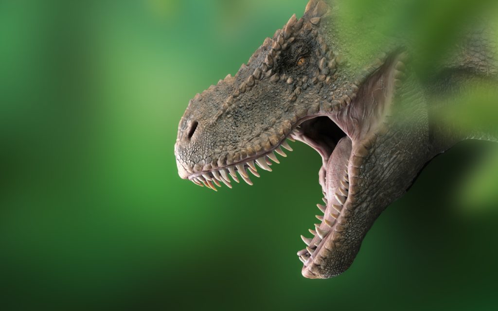 Tyrannosaurus rex