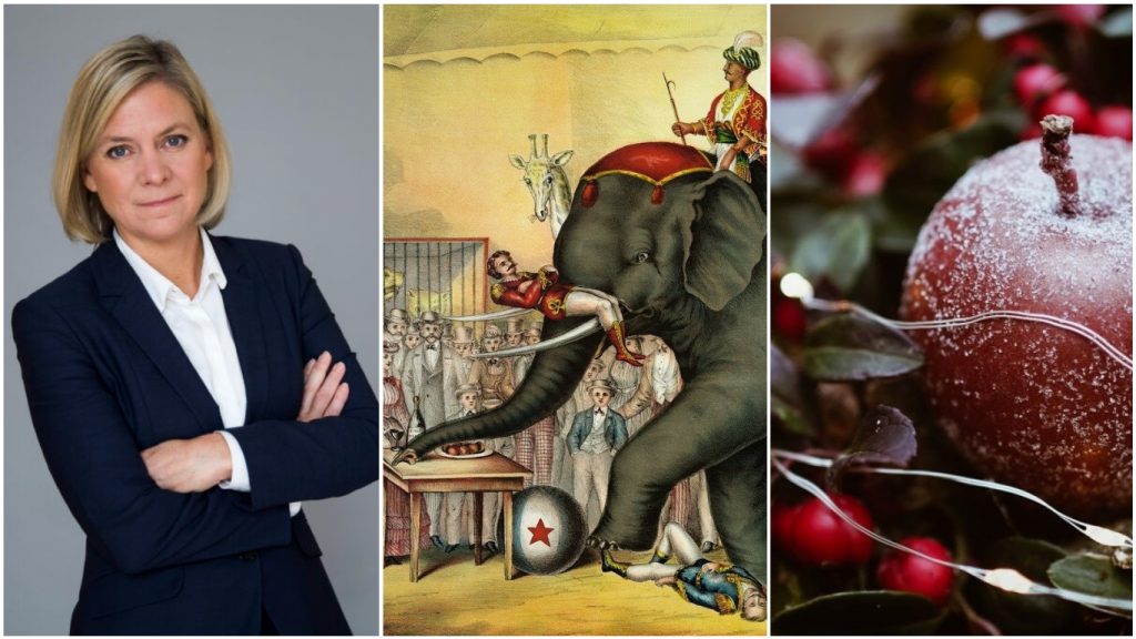 Collage på nyheter vecka 47